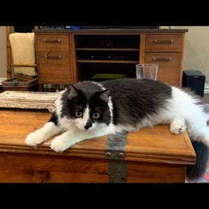 Meet your Posher, Jude